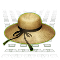 麦わら帽子.png