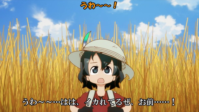 台詞 はは イカれてるぜ お前 ノムリッシュけものフレンズ アルティマニアwiki Wiki 台詞 はは イカれてるぜ お前 ノムリッシュけものフレンズ アルティマニアwiki Wiki