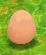 tamago.PNG