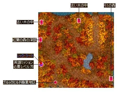 紅葉の森.jpg