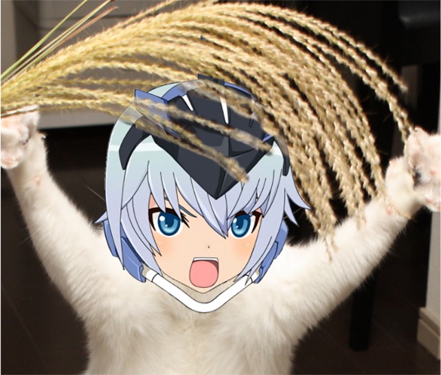 スティレット なるほど Wiki スティレット なるほど Wiki