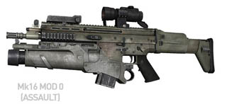 Mk16(Assault).jpg