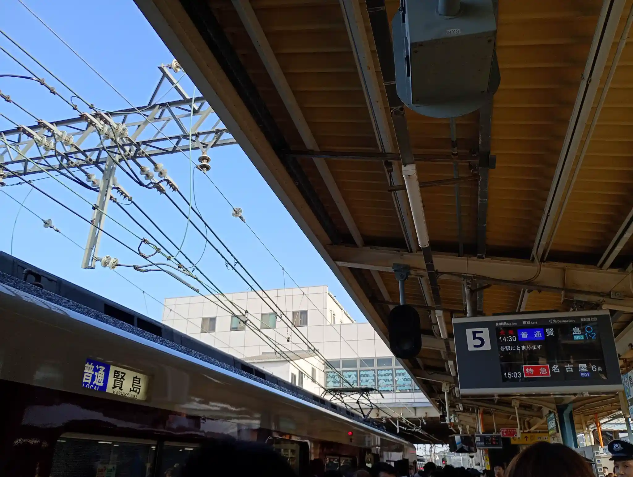 IMG_20251108_142912161_HDR.jpg IMG_20251108_142912161_HDR.jpg