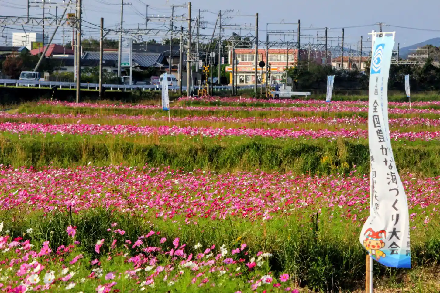 IMG_6138~2.JPG IMG_6138~2.JPG