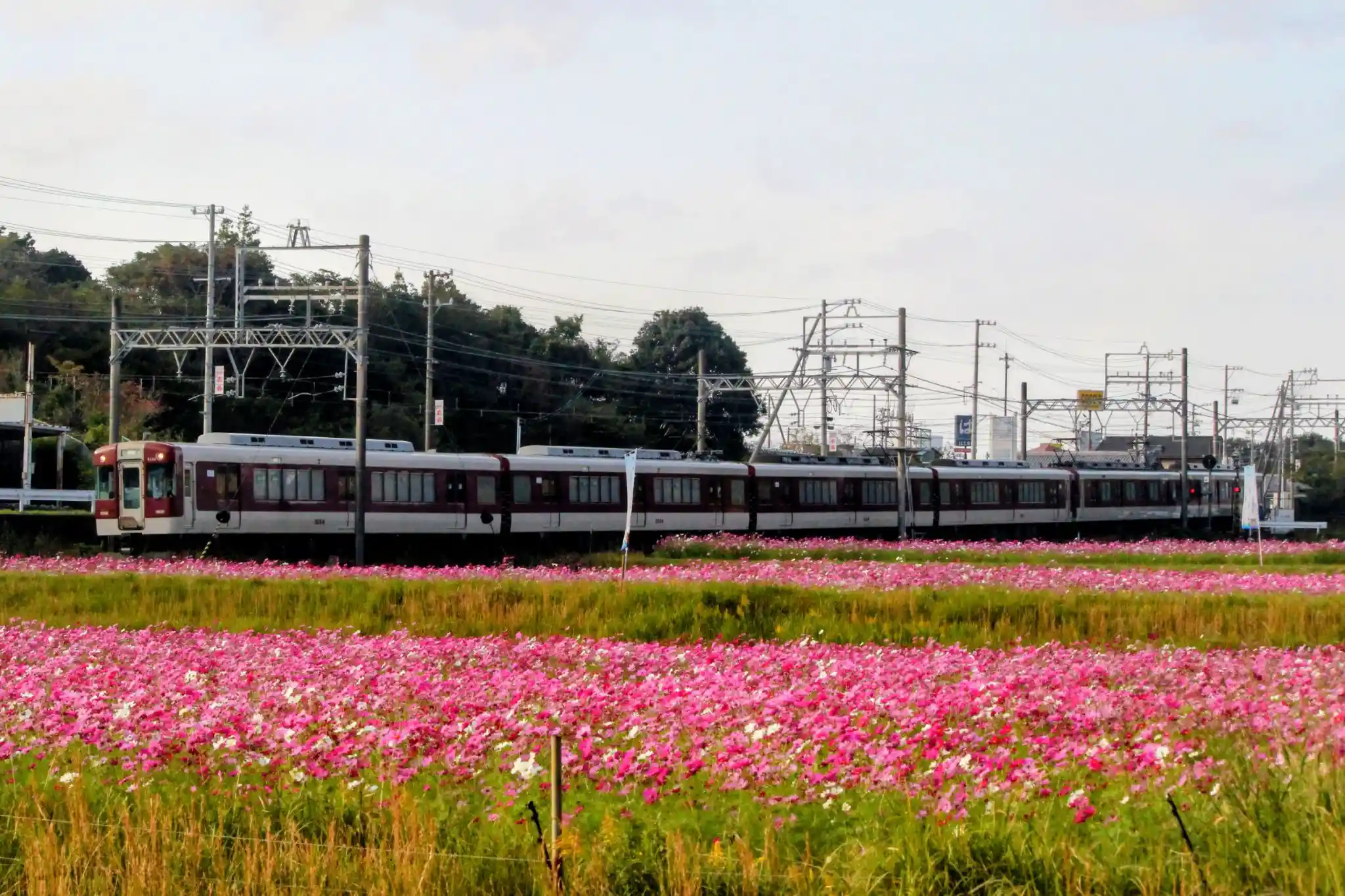 IMG_6151~2.JPG IMG_6151~2.JPG