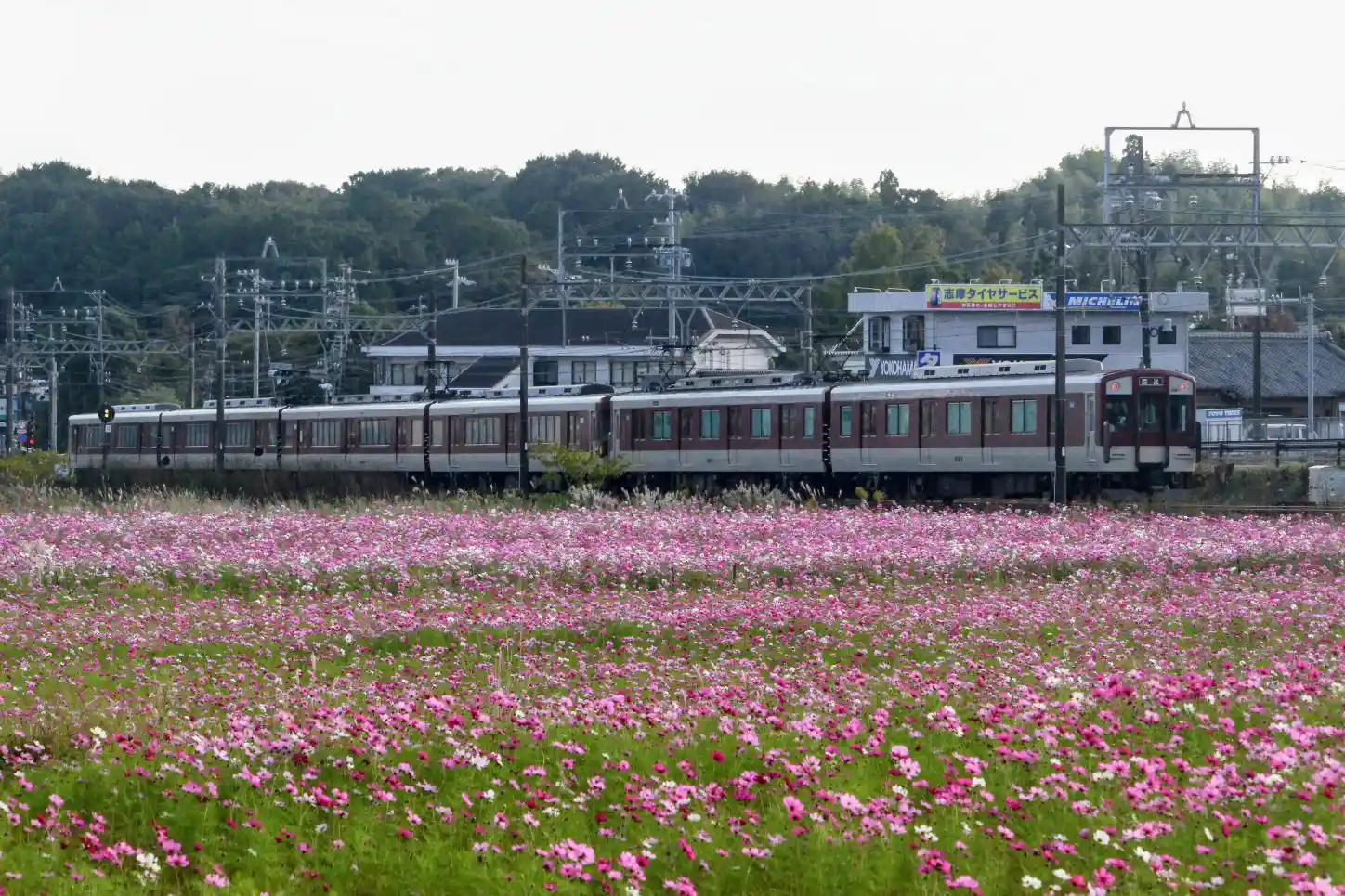 IMG_6153~2.JPG IMG_6153~2.JPG