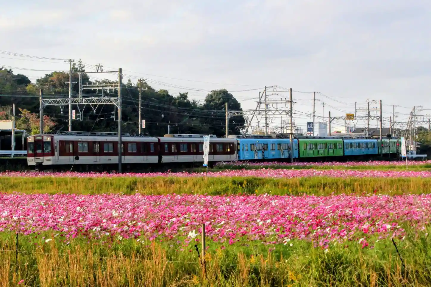 IMG_6180.JPG IMG_6180.JPG