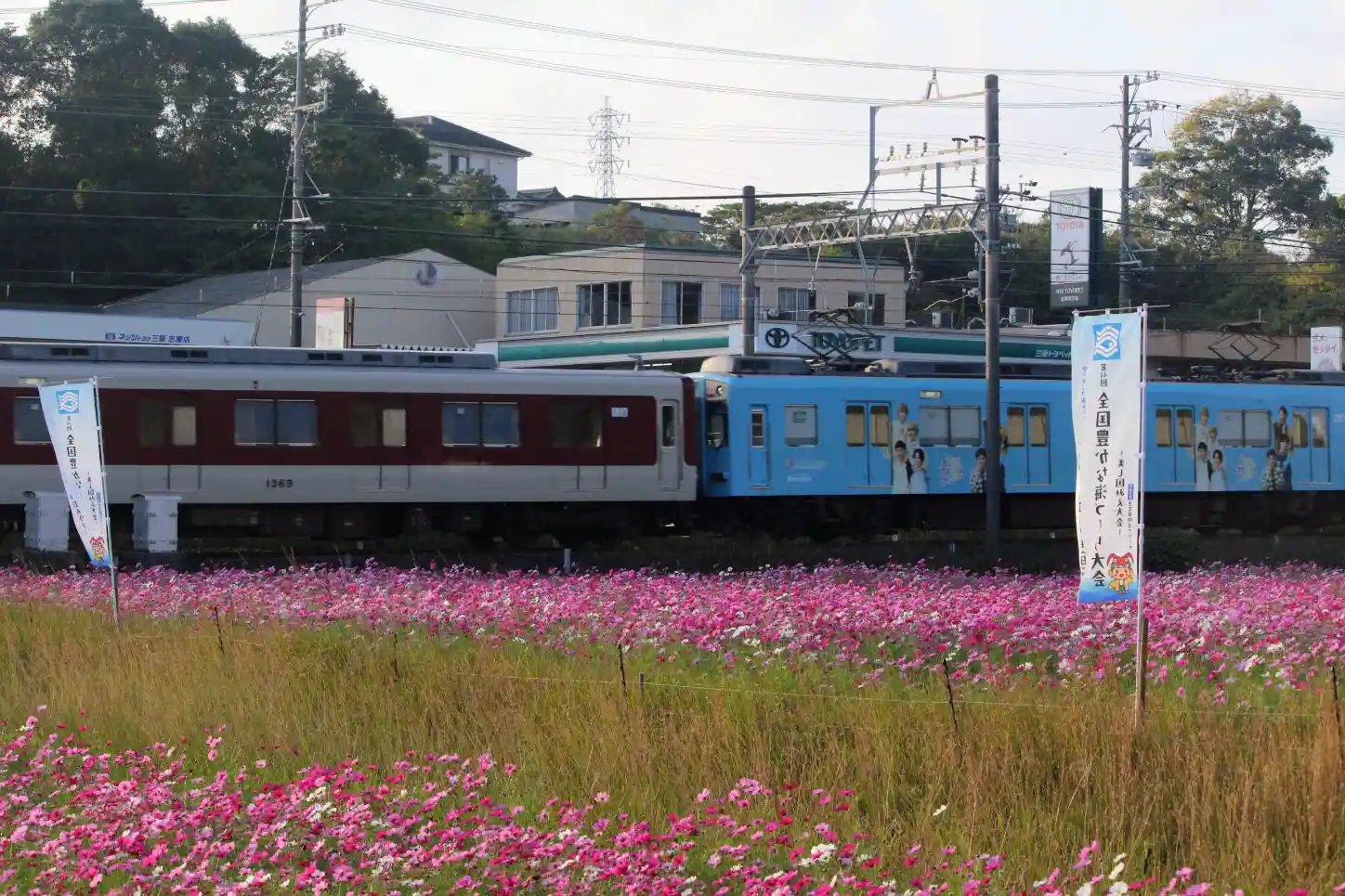 IMG_6182~2.JPG IMG_6182~2.JPG