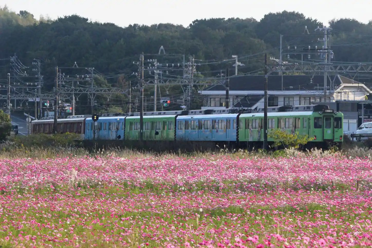 IMG_6189~2.JPG IMG_6189~2.JPG