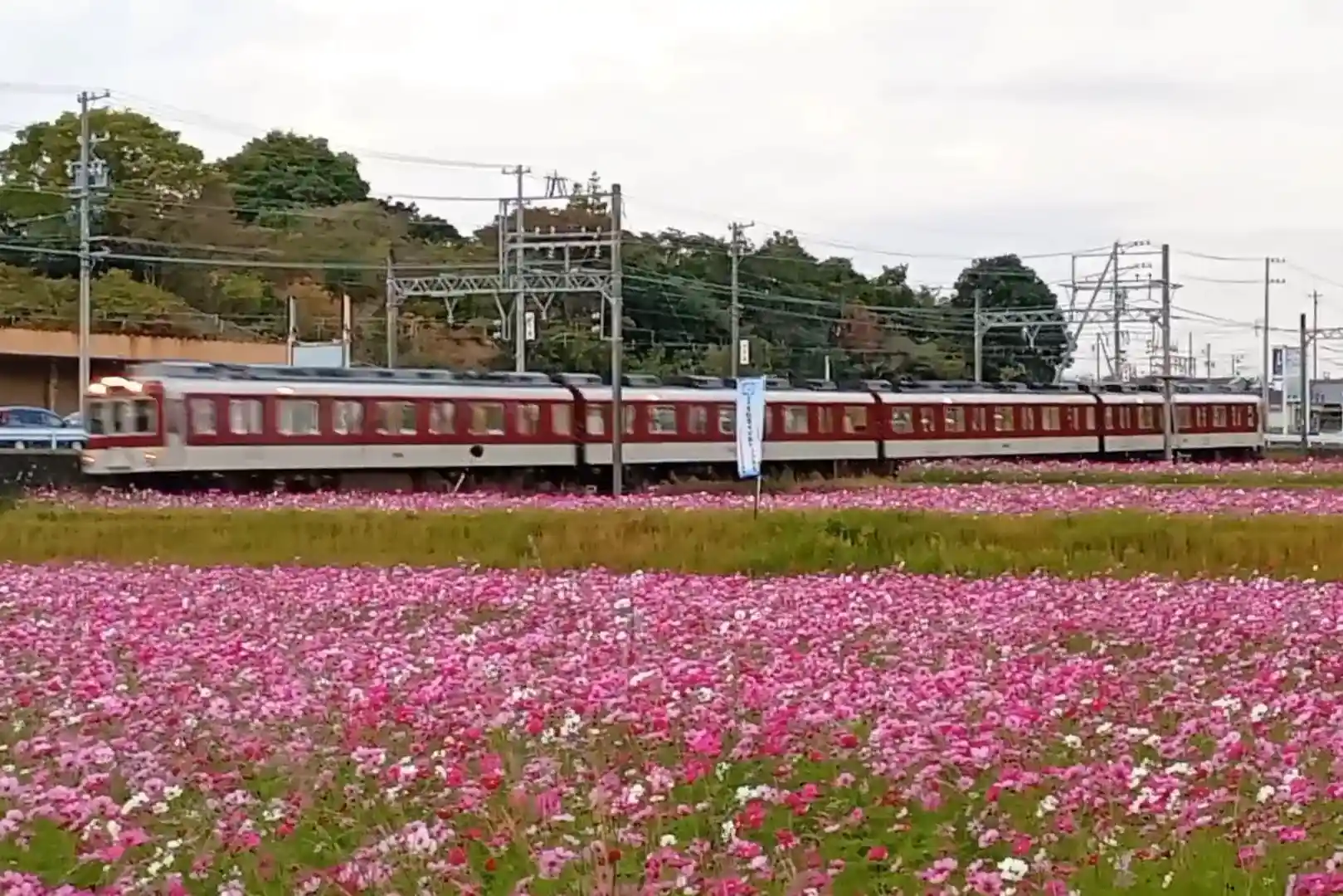 VID_20251108_165046995_exported_8715.jpg VID_20251108_165046995_exported_8715.jpg