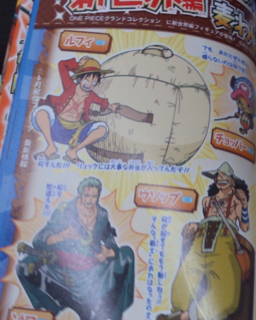 2年後麦わらの一味追加 One Piece グランドコレクション Wiki