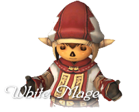 Ffxi 白魔道士 Wiki