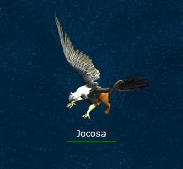 Jocosa.png