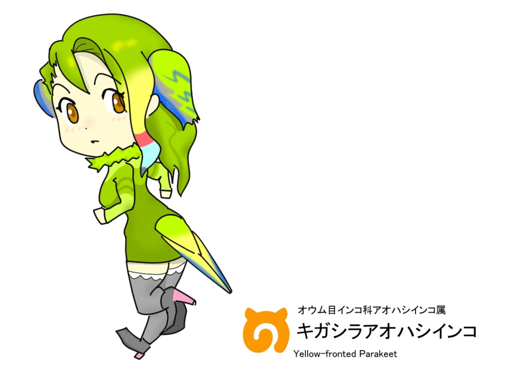 キガシラアオハシインコ けものフレンズ オリジナルフレンズまとめ Wiki キガシラアオハシインコ けものフレンズ オリジナルフレンズまとめ Wiki