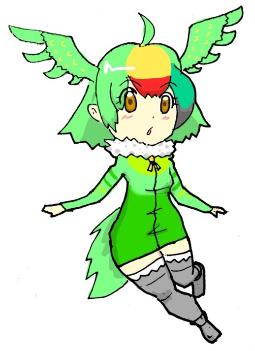 キガシラアオハシインコ けものフレンズ オリジナルフレンズまとめ Wiki キガシラアオハシインコ けものフレンズ オリジナルフレンズまとめ Wiki