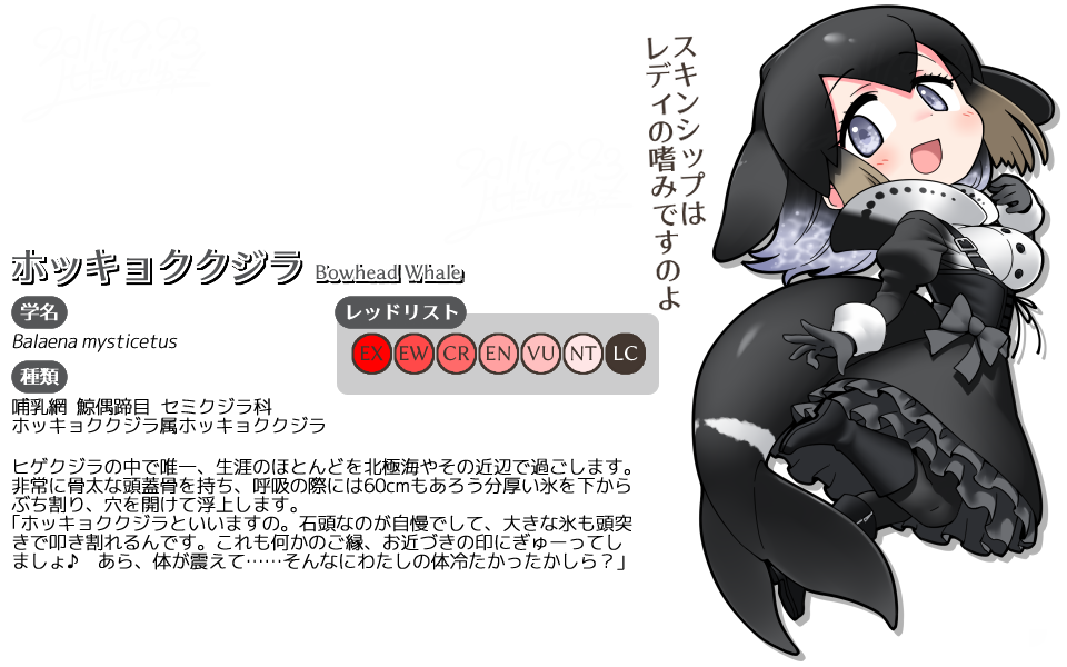 現生種 低絶滅リスク ホッキョククジラ けものフレンズ オリジナルフレンズまとめ Wiki 現生種 低絶滅リスク ホッキョククジラ けものフレンズ オリジナルフレンズまとめ Wiki