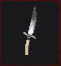 Throwing Knife T3.png