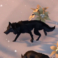 wolf.PNG