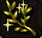 月光草.PNG 月光草.PNG