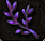 猛毒草.PNG 猛毒草.PNG
