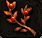 蓬莱花.PNG 蓬莱花.PNG