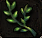 解毒草~1.PNG 解毒草~1.PNG