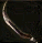 ファーチャード_0.png ファーチャード_0.png