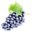 Grapevines.png