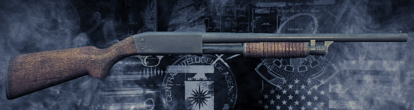 GSPS_12G.png GSPS_12G.png