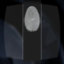 fingerprint.png