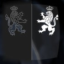 two_lions.png