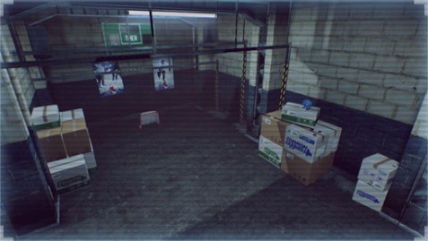 sokol1.png sokol1.png