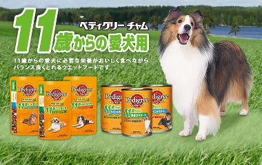 配信者情報 こうきゃ Peercast配信者情報 Wiki 配信者情報 こうきゃ Peercast配信者情報 Wiki