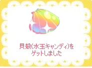 虹色の貝殻
