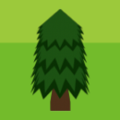 conifer-tree.png