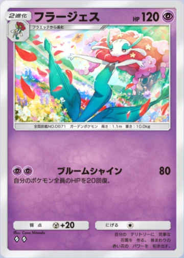XY フラベベ フラエッテ フラージェス アンリミ XY フラベベ フラエッテ フラージェス アンリミ