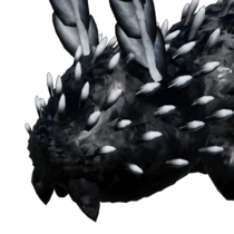 DSB_B&W.webp DSB_B&W.webp