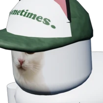 DSB_Buck.webp DSB_Buck.webp