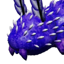 DSB_Inverted.webp DSB_Inverted.webp