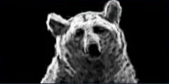 クマ@シラ.png