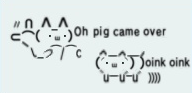 pigcame.png