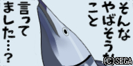 nekonomiyaCSA.jpg nekonomiyaCSA.jpg