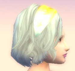 renaissance hair 02.jpg