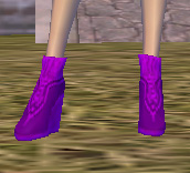 靴紅紫.jpg