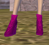 靴紫玉葱.jpg
