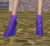 靴紫.jpg