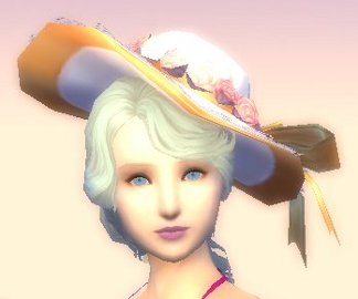 countess sun hat.jpg