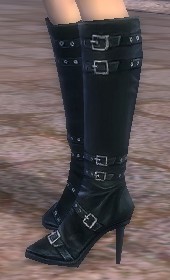 gossicboots.jpeg