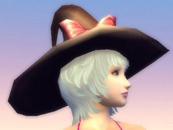 witch's hat 1.jpg