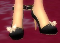 cougar heel - black.jpg